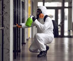 Best Basement Mold Removal in Manvel, TX